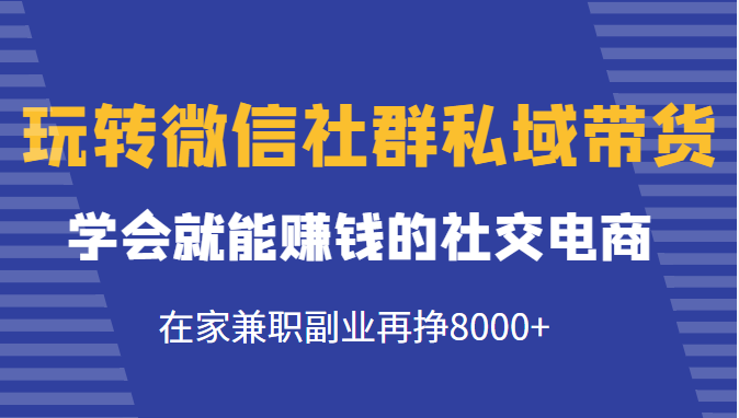 玩转微信社群私域带货，学会就能赚钱的社交电商，在家兼职副业再挣8000+-88共享
