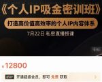 个人IP吸金密训班,打造高价值高效率的个人IP内容体系(价值12800元)-88共享