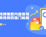 带货短视频爆款内容策划,关于电商视频的独门秘籍(价值499元)-88共享