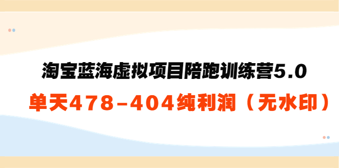淘宝蓝海虚拟项目陪跑训练营5.0：单天478纯利润-88共享