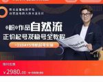 0粉0作品自然流正价起号及稳号全教程,专业自然流起号机构流程化教学(价值2980元)-88共享