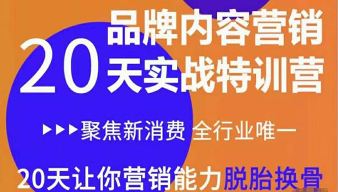 《内容营销实操特训营》20天让你营销能力脱胎换骨（价值3999）-88共享