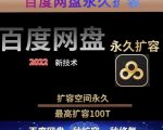 百度网盘无限扩容技术,外面卖399的,无论自己用还是用做引流都可以-88共享