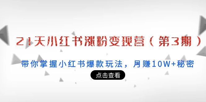 21天小红书涨粉变现营（第3期）：带你掌握小红书爆款玩法，月赚10W+秘密-88共享
