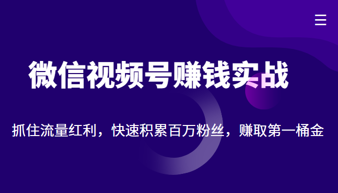 微信视频号赚钱实战：抓住流量红利，快速积累百万粉丝，赚取你的第一桶金-88共享