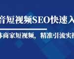 抖音短视频Seo搜索排名优化新手快速入门教程,实体商家短视频,精准引流实操课-88共享