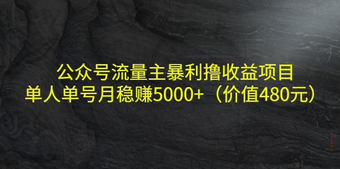 公众号流量主暴利撸收益项目，单人单号月稳赚5000+（价值480元）-88共享