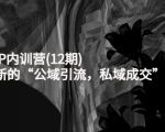 新媒体IP内训营(12期)，一套全新的“公域引流，私域成交”IP打法，直接带走-88共享