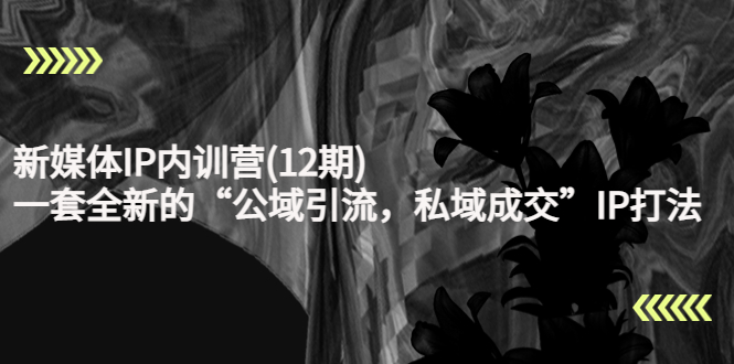 新媒体IP内训营(12期)，一套全新的“公域引流，私域成交”IP打法，直接带走-88共享