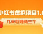 《小红书虚拟项目1.0》账号注册+养号+视频制作+引流+变现,几天就赚两三千-88共享