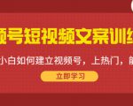 视频号短视频文案训练营:0基础小白如何建立视频号,上热门,能卖货!-88共享