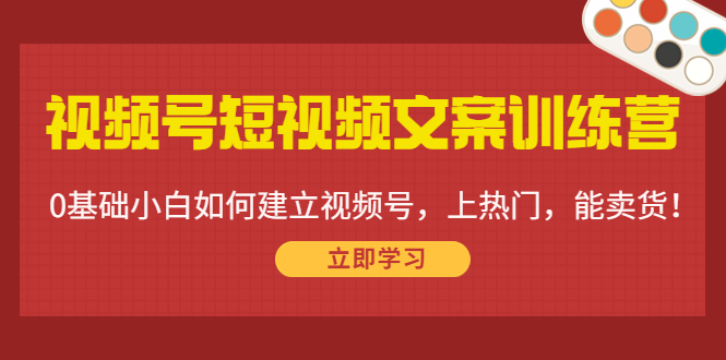 视频号短视频文案训练营：0基础小白如何建立视频号，上热门，能卖货！-88共享