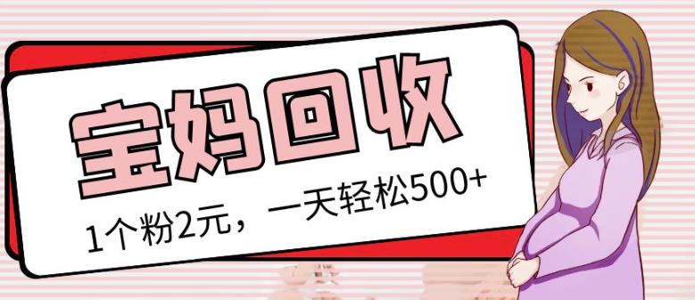 最新小红书母婴号宝妈粉回收项目，1个粉2元，一天轻松500+案例分享【粉丝包回收】-88共享