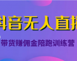 抖音无人直播带货赚佣金陪跑训练营(价值6980元)-88共享
