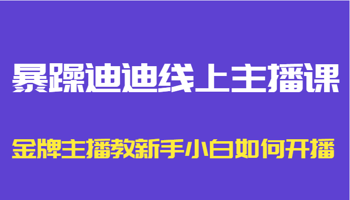 暴躁迪迪线上主播课，金牌主播教新手小白如何开播-88共享
