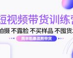 短视频带货训练营:不拍摄 不露脸 不买样品 不囤货发货 简单粗暴混剪带货(第三期)-88共享