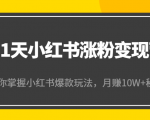21天小红书涨粉变现营(第4期):带你掌握小红书爆款玩法,月赚10W+秘密-88共享