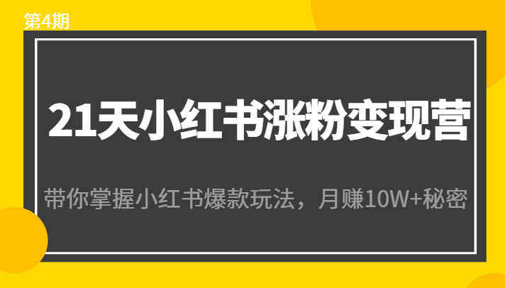21天小红书涨粉变现营（第4期）：带你掌握小红书爆款玩法，月赚10W+秘密-88共享