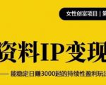 资料IP变现,能稳定日赚3000起的持续性盈利玩法-88共享