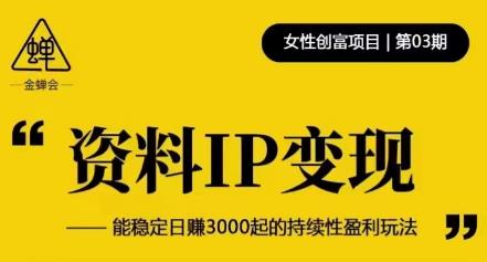 资料IP变现，能稳定日赚3000起的持续性盈利玩法-88共享