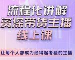 婉婉-主播拉新实操课，流程化讲解资深带货主播，让每个人都成为经得起考验的主播-88共享