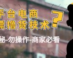外面收费2980的全平台电商白嫖撸货技术(仅揭秘勿操作-商家防范必看)-88共享