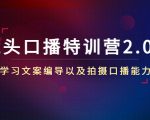 镜头口播特训营2.0版,学习文案编导以及拍摄口播能力(50节课时)-88共享
