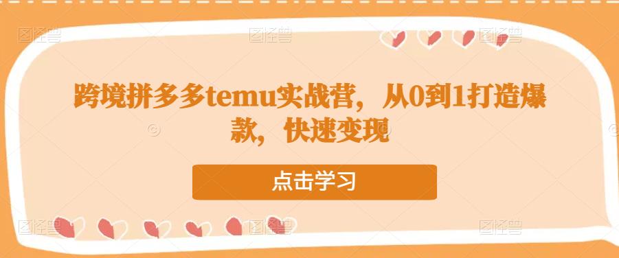 跨境拼多多temu实战营，从0到1打造爆款，快速变现-88共享