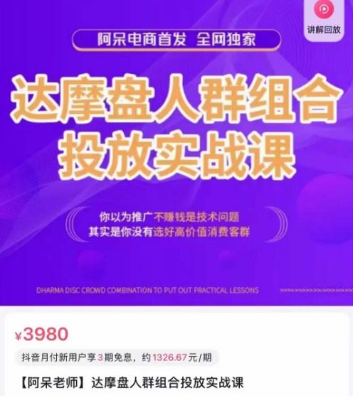 阿呆电商·达摩盘人群组合投放实战课，你以为推广不赚钱是技术问题，其实是你没有选好高价值消费客群-88共享