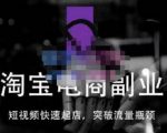 蓝Sir派·淘宝短视频快速起店，替代传统搜索方式，学会做一个不一样的淘宝店-88共享