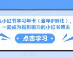 厦九九小红书学习年卡（全年IP孵化），沉浸式学习，一起成为有影响力的小红书博主-88共享