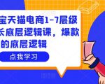 大圣淘宝天猫电商1-7层级盈利增长底层逻辑课，爆款的底层逻辑-88共享
