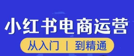 顽石小红书电商高阶运营课程，从入门到精通，玩法流程持续更新-88共享