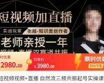 张越·短视频+直播,自然流三频共振起号实操课,短视频所有流量玩法讲解-88共享