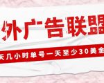 外面收费1980的最新国外LEAD广告联盟搬砖项目,单号一天至少30美金【详细玩法教程】-88共享