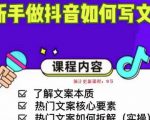 新手做抖音如何写文案,手把手实操如何拆解热门文案-88共享