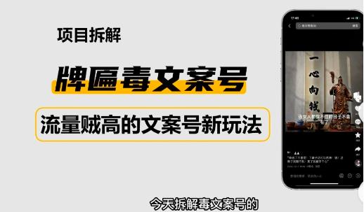 2023抖音快手毒文案新玩法，牌匾文案号，起号快易变现-88共享