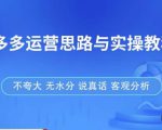 拼多多店铺运营思路与实操教程,快速学会拼多多开店和运营,少踩坑,多盈利-88共享