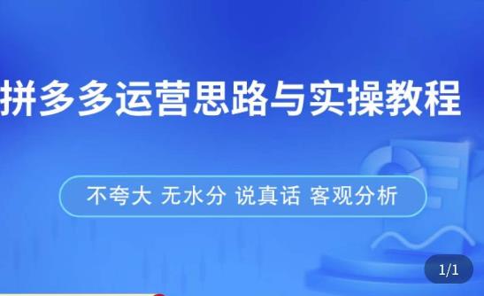 拼多多店铺运营思路与实操教程，快速学会拼多多开店和运营，少踩坑，多盈利-88共享