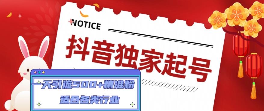 抖音独家起号，一天引流500+精准粉，适合各类行业（9节视频课）-88共享