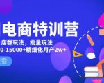 美团电商特训营:美团·店群玩法,无脑铺货月产出6000-15000+精细化月产2w+-88共享