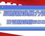 豆瓣精准暴力引流,日引精准粉500+【12课时】-88共享