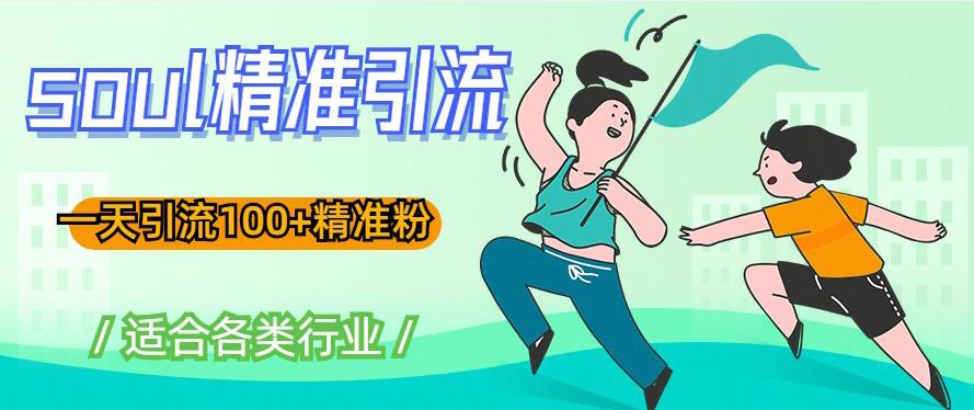 soul精准引流系列课程，一天引流100+精准粉，适合各类行业-88共享