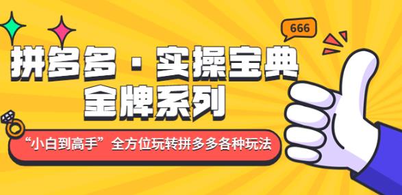 拼多多·实操宝典：金牌系列“小白到高手”带你全方位玩转拼多多各种玩法-88共享
