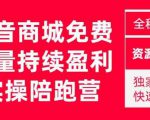 抖音商城搜索持续盈利陪跑成长营,抖音商城搜索从0-1、从1到10的全面解决方案-88共享