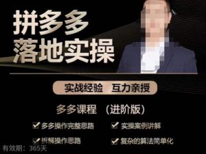 拼多多实战篇·落地实操:多多操作完整思路+实操案例讲解+拆解操作思路+复杂的算法简单化-88共享