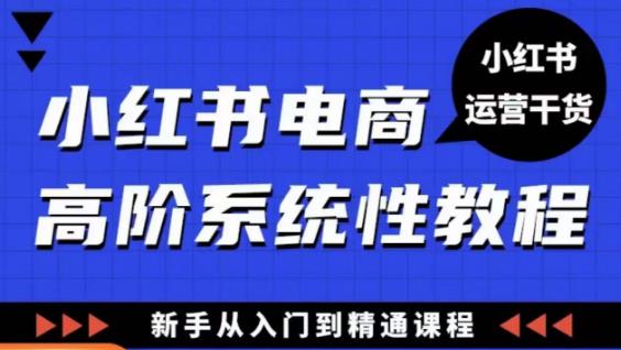小红书电商高阶系统教程，新手从入门到精通系统课-88共享