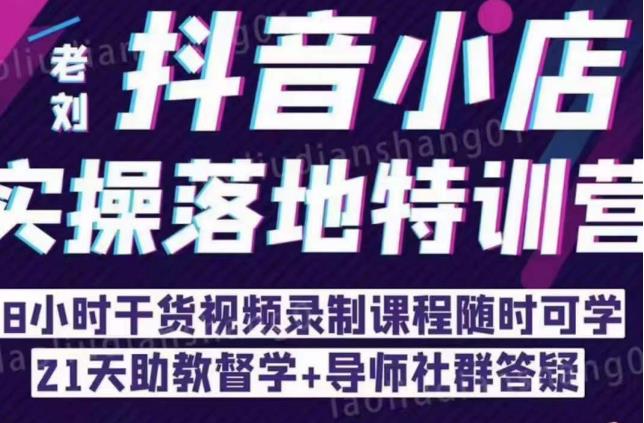 抖音小店实操落地特训营：抖音小店无货源精细化运营，抖店商品卡流量（22节）-88共享
