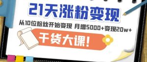 21天精准涨粉变现干货大课:从10位粉丝开始变现月增5000+变现20w+-88共享