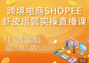跨境电商Shopee虾皮运营实操直播课，从零开始学，入门到精通（10节系统课）-88共享